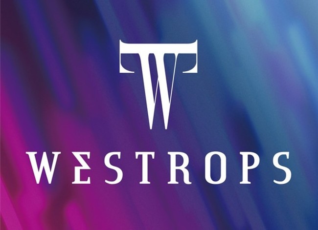 【成長 × e スポーツ 】 女性 e スポーツ チーム「WESTROPS （ウェストロプス 」 が ２０２１年 １０月 よ り 本格始動のサブ画像1