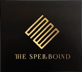 ブンブン中野×ノベンバ小林 新バンドTHE SPELLBOUND最初で最後のスタジオコーストライブ、無料配信スタート！のサブ画像5