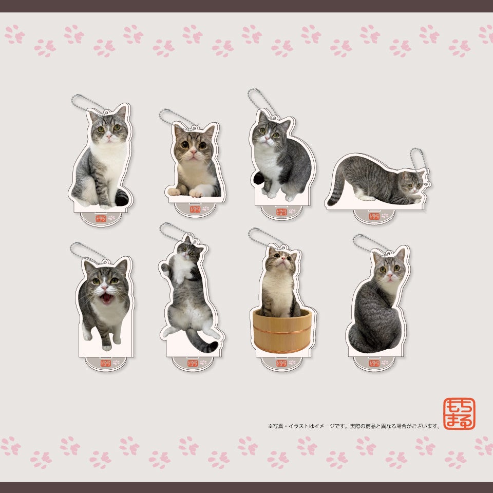 “YouTubeで最も視聴された猫” もち様とのコラボ！！『GiGOのお店限定　もちまるキャンペーン』開催のお知らせのサブ画像6
