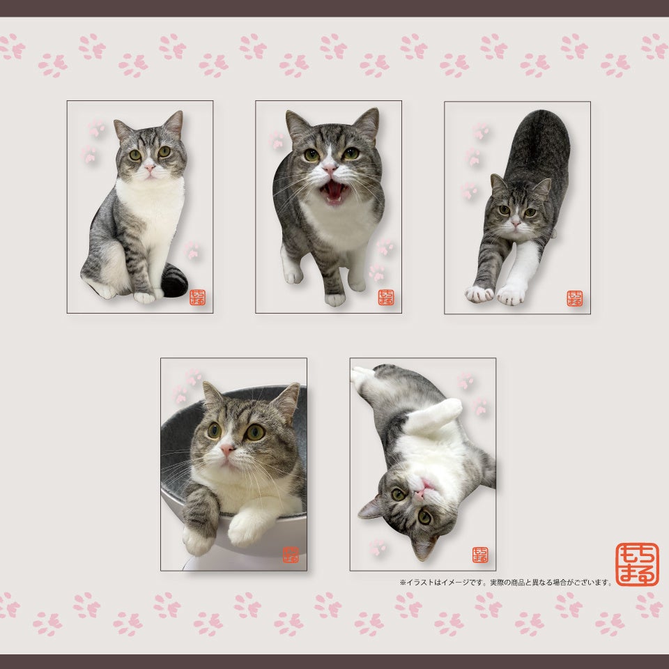 “YouTubeで最も視聴された猫” もち様とのコラボ！！『GiGOのお店限定　もちまるキャンペーン』開催のお知らせのサブ画像7