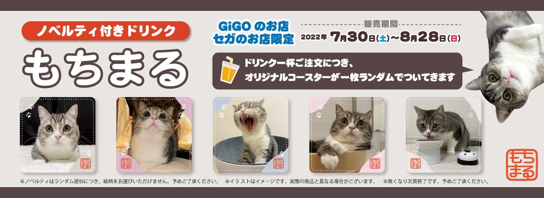 “YouTubeで最も視聴された猫” もち様とのコラボ！！『GiGOのお店限定　もちまるキャンペーン』開催のお知らせのサブ画像8