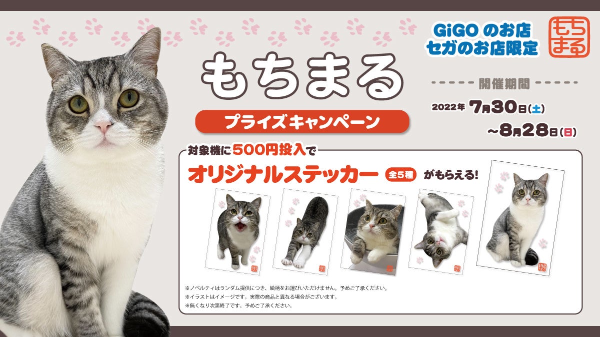 “YouTubeで最も視聴された猫” もち様とのコラボ！！『GiGOのお店限定　もちまるキャンペーン』開催のお知らせのサブ画像9