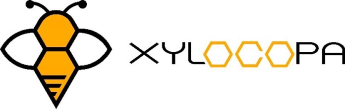 「好きなことで生きていける人を増やす」をMISSIONに、ブロックチェーンを活用してコミュニティ形成を支援する株式会社XYLOCOPAを設立のメイン画像