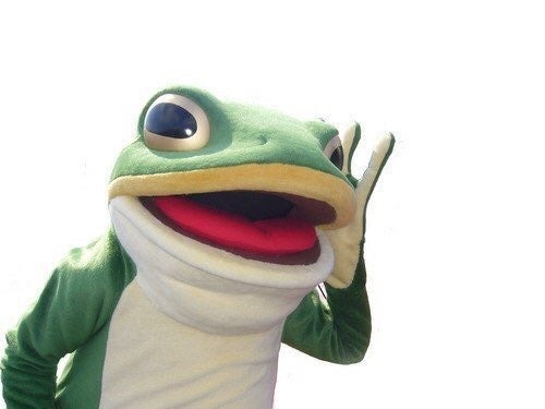 FM愛媛で、蛙の一平くんの新番組がスタートのサブ画像1_一平くん