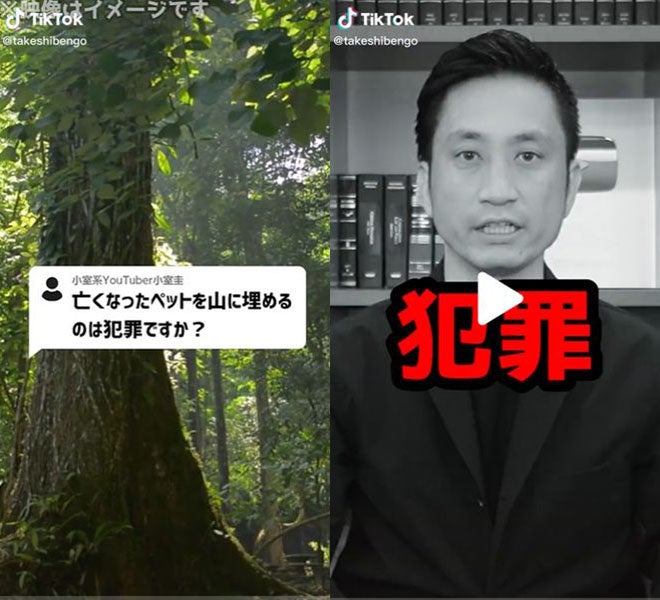 【2年連続】岡野タケシ弁護士がTikTok Awards2022にノミネートされました！のサブ画像3