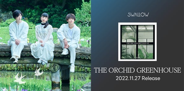 SWALLOW、高校生から大人になるまでを描いた新曲「THE ORCHID GREENHOUSE」をリリース！コメント「SWALLOWのこれまでの曲の全てに繋がる一曲になりました」のサブ画像1