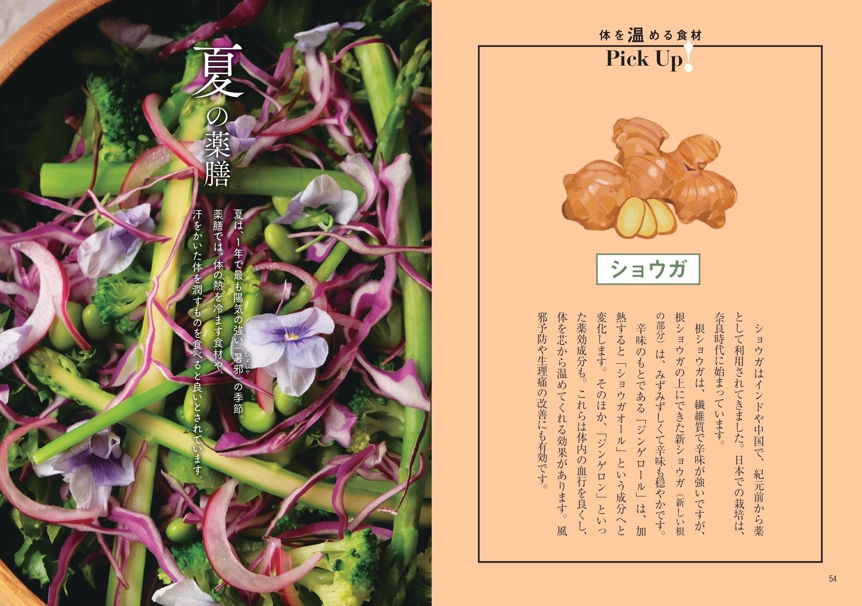 【麻木久仁子さんの新刊】『からだ整う 温活薬膳ごはん』、食べもの通信社から2023年1月19日（木）に刊行！のサブ画像3