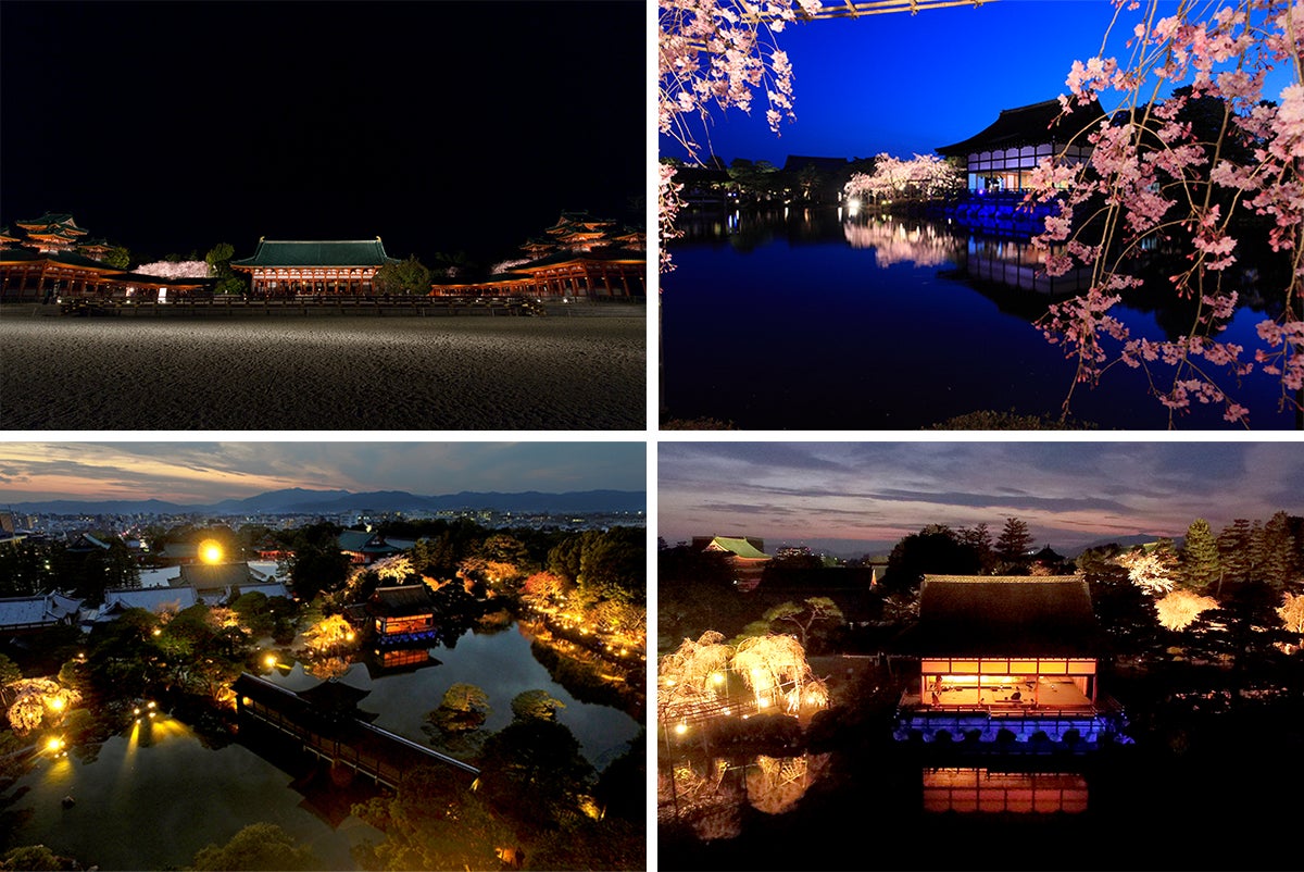 京都「平安神宮 桜音夜（さくらおとよ）～紅しだれコンサート2023～」のサブ画像4