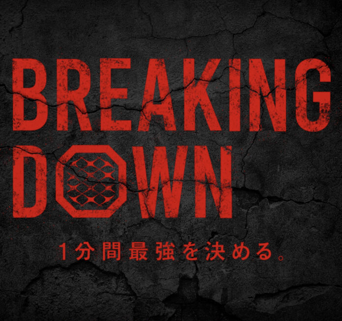 レディオブックプロデュースのBreakingDown、海外への本格進出を見据え「BreakingDown International」を設立！のメイン画像