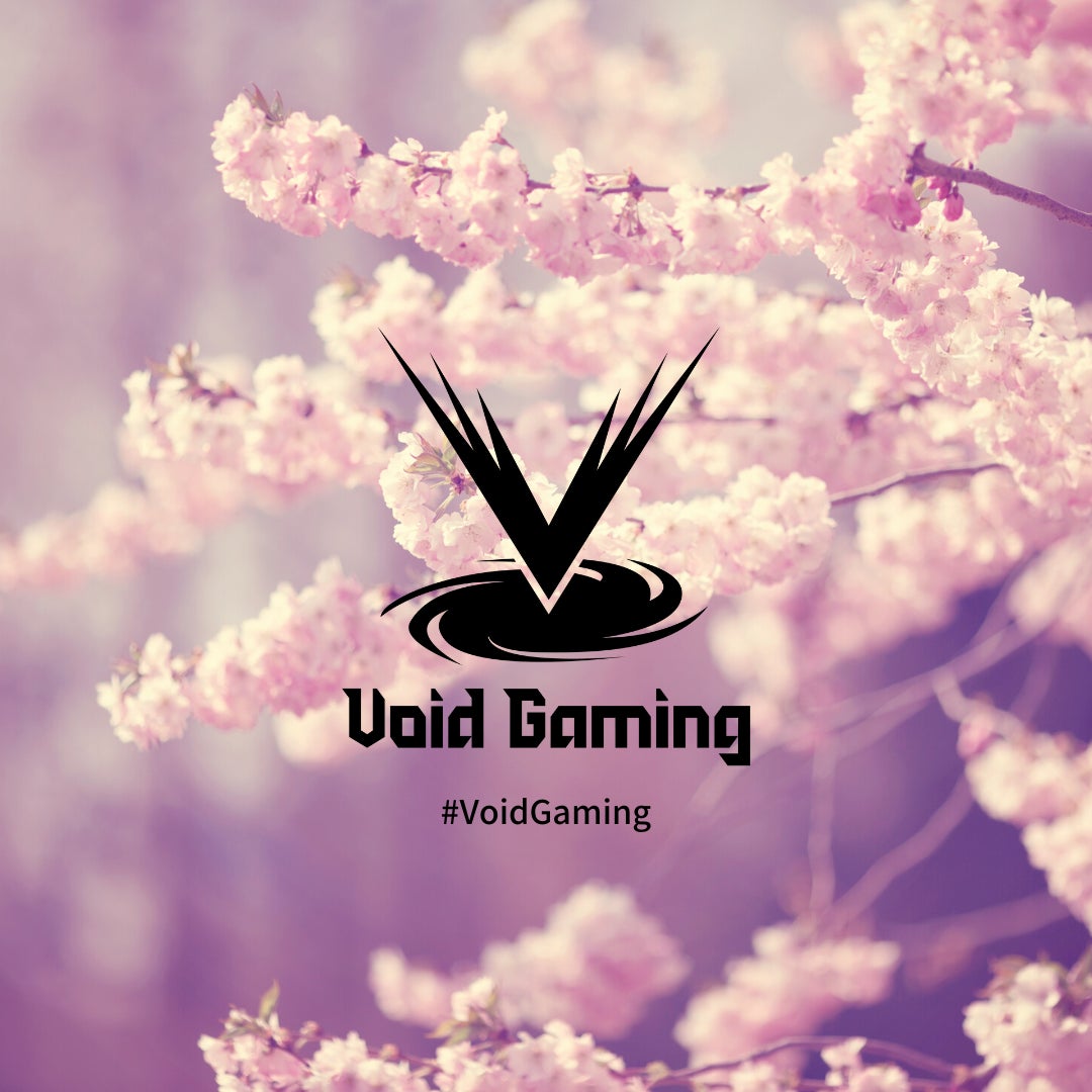 「Void Gaming」×「ミートたけし」オリジナルゲームコントローラー（PS5/PC用）発売！のサブ画像3