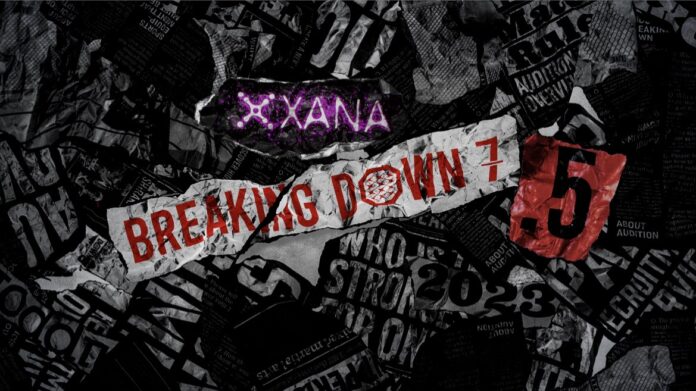 XANA presents BreakingDown7.5プラチナスポンサーにSAWAが就任！のメイン画像