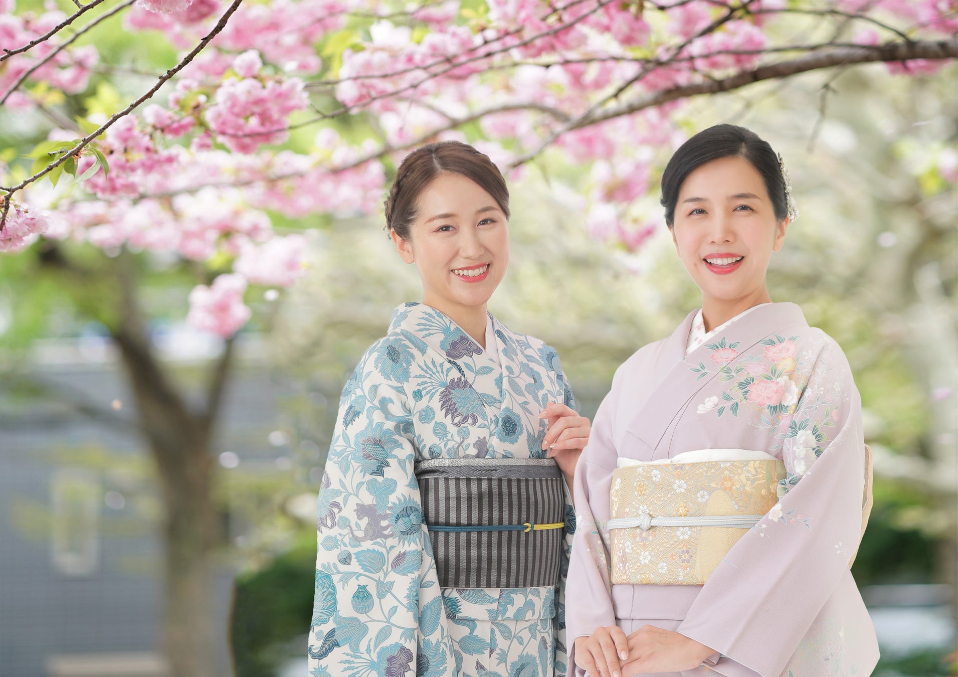 着物を着て楽しむ方が街中に溢れ、日本の美しい着物文化を未来へと継承していきたい。女性の美しさを披露するイベント「白桜祭」観覧に無料でご招待します！のサブ画像5