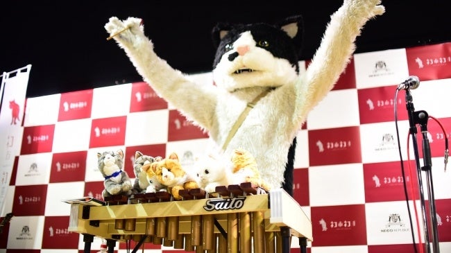 行列ができる最大級ホゴネコイベント「ネコ市ネコ座＠東京ドームシティwithＢＳキャッ東」ステージ内容が続々決定。藤あや子、敦士、むぎ（猫）、ふにゃっしー等出演決定！80以上の猫グッズ出店者も大集合のサブ画像5