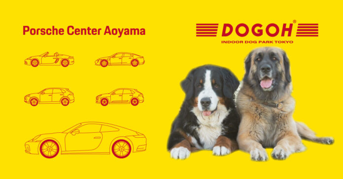 真夏の愛犬の遊び場を提供する屋内型エンターテインメントドッグパーク「DOGOH」とポルシェセンター青山とのコラボレーションが決定のメイン画像
