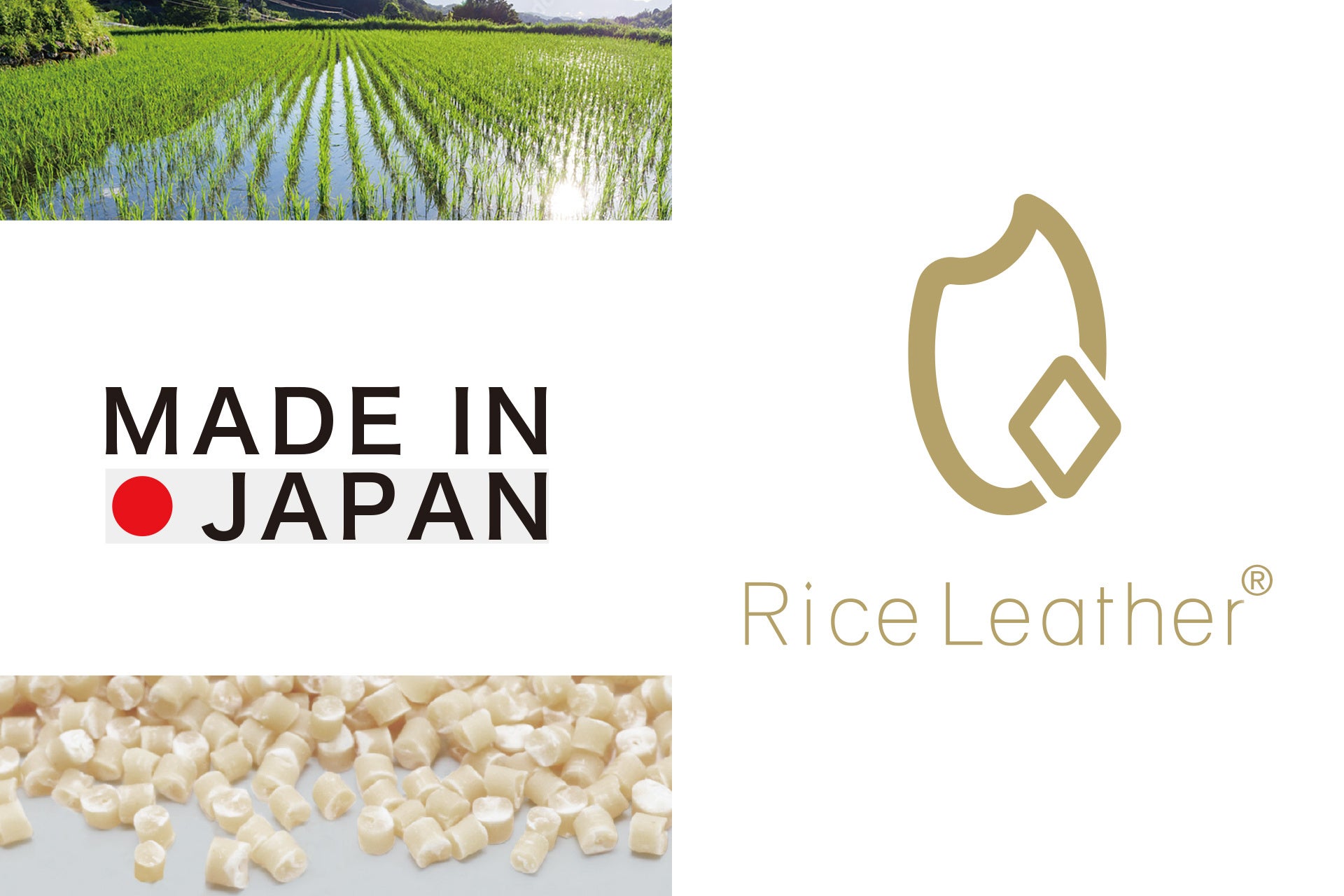 福島県産の米を含む国産ヴィーガンレザー「Rice Leather™️」を使用した世界初のアパレル商品を開発！福島美少女図鑑、MA3.0、コバオリ株式会社による共同プロジェクト始動のサブ画像3