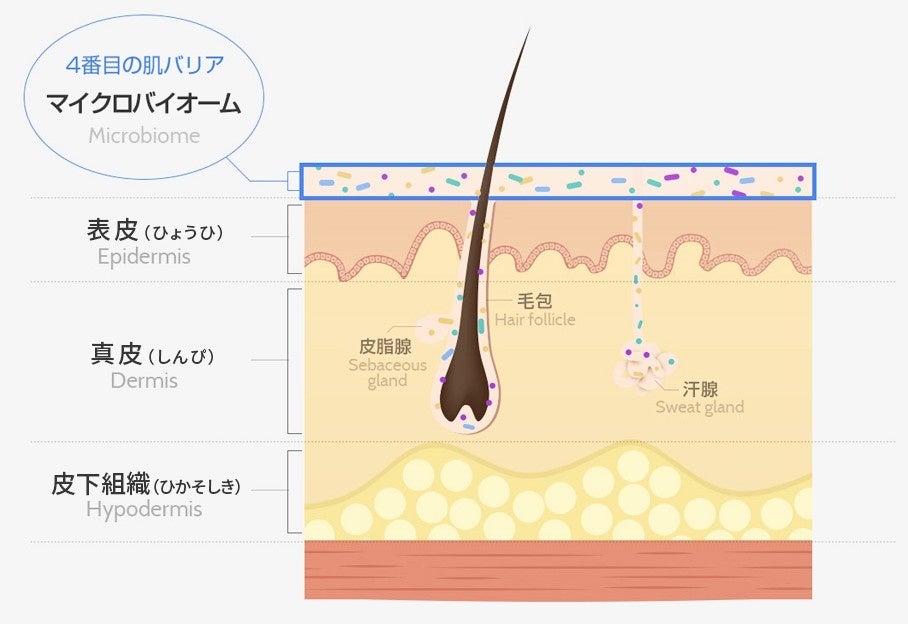 韓国発 ドクターズ ビューティーブランド 「UIQ」 日本本格上陸！新人ボーイズグループRIIZEがブランドアンバサダーに就任決定！さわやかな衣装を身にまとったビジュアルを初公開のサブ画像3