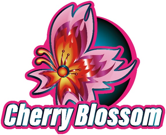 株式会社ホリプロデジタルエンターテインメント eスポーツクラン「CherryBlossom」発足のサブ画像3