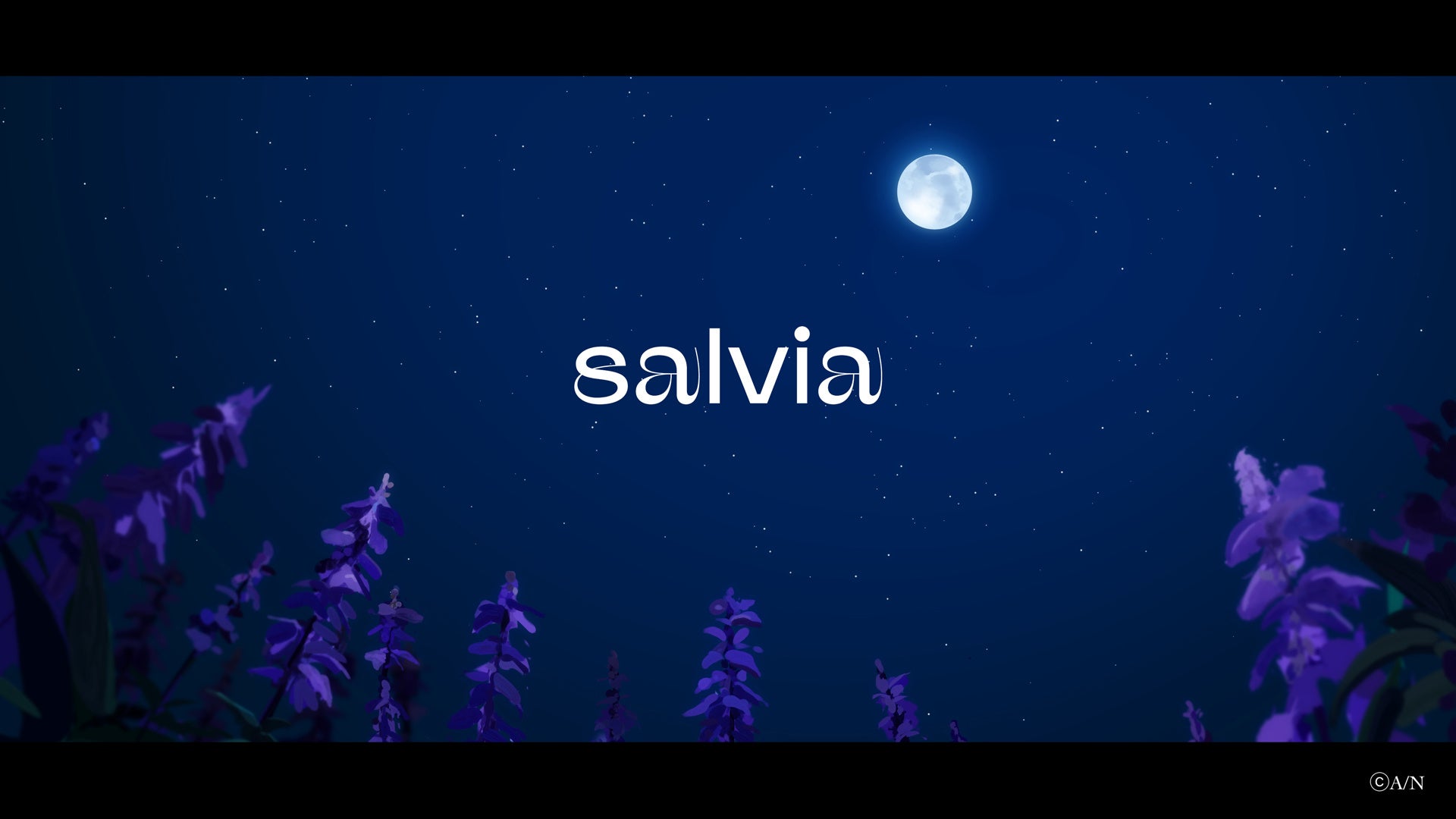 Nornis 2nd Single『salvia』2023年9月27日(水)リリース！あわせてMVも公開！のサブ画像1