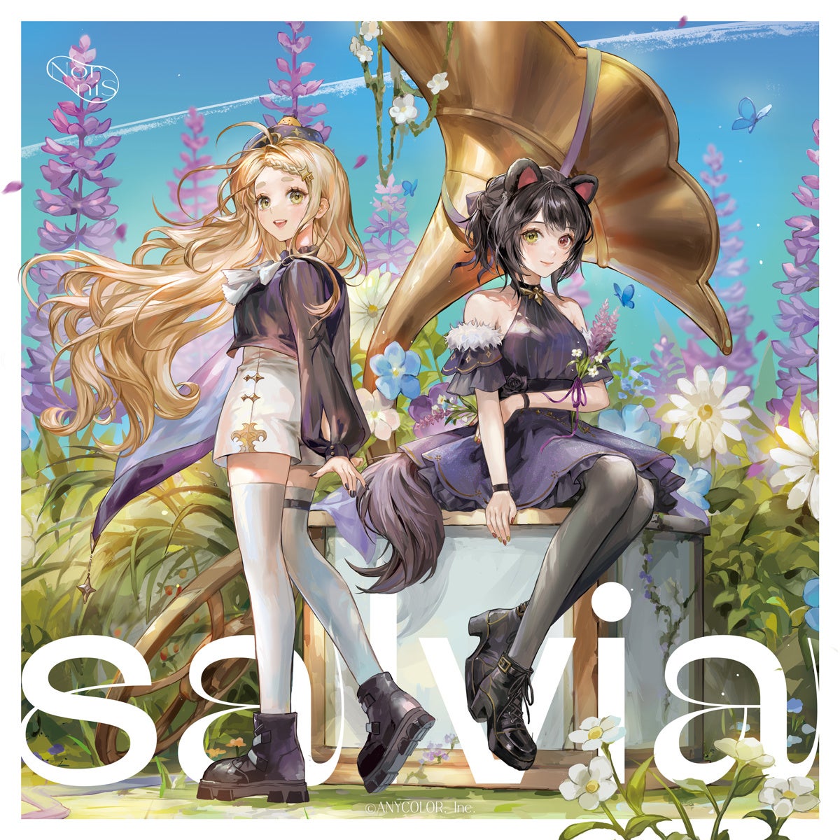 Nornis 2nd Single『salvia』2023年9月27日(水)リリース！あわせてMVも公開！のサブ画像3