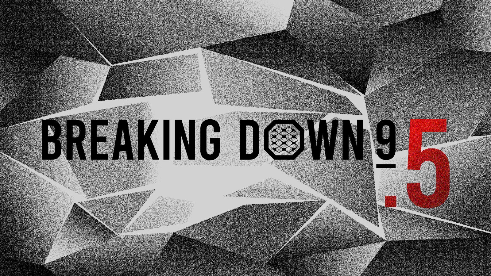 『BreakingDown9.5』が2023年10月8日（日）に開催決定〜朝倉未来YouTubeチャンネルで無料生配信〜のサブ画像1