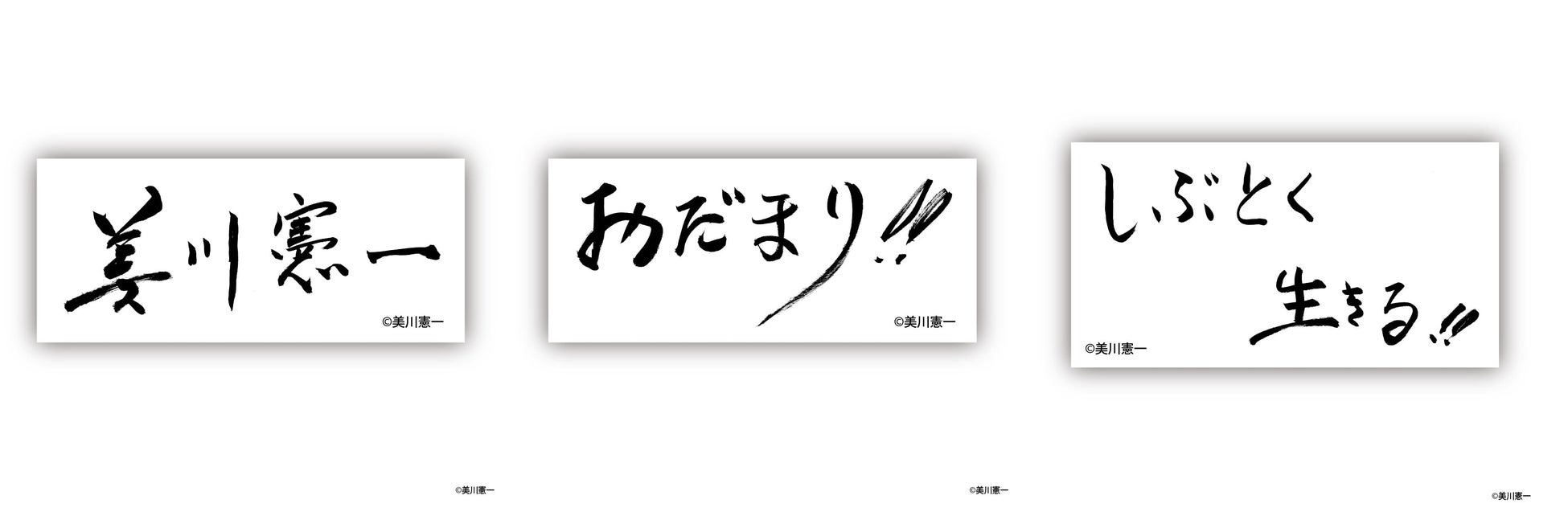 【美川憲一×ヴィレッジヴァンガード】～まさかのコラボグッズが発売決定！！～のサブ画像11
