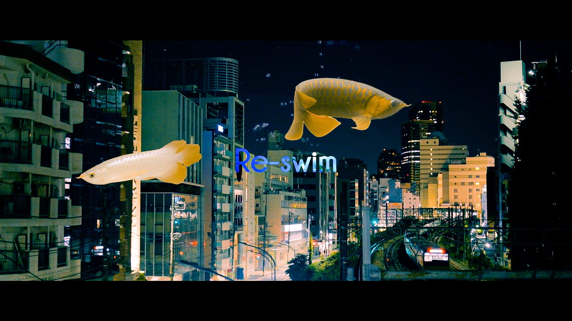 04 Limited Sazabys、10/18発売『Re-Birth』より、代表曲「swim」のセルフカバー「Re-swim」MUSIC VIDEOを公開のサブ画像1