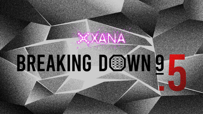 XANA presents BreakingDown9.5の対戦カード決定！ 喧嘩自慢最強決定戦のリベンジマッチを含む全７試合〜10月8日（日）に全試合無料ライブ配信を実施〜のメイン画像