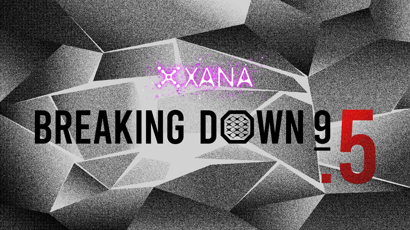 XANA presents BreakingDown9.5の対戦カード決定！ 喧嘩自慢最強決定戦のリベンジマッチを含む全７試合〜10月8日（日）に全試合無料ライブ配信を実施〜のサブ画像1
