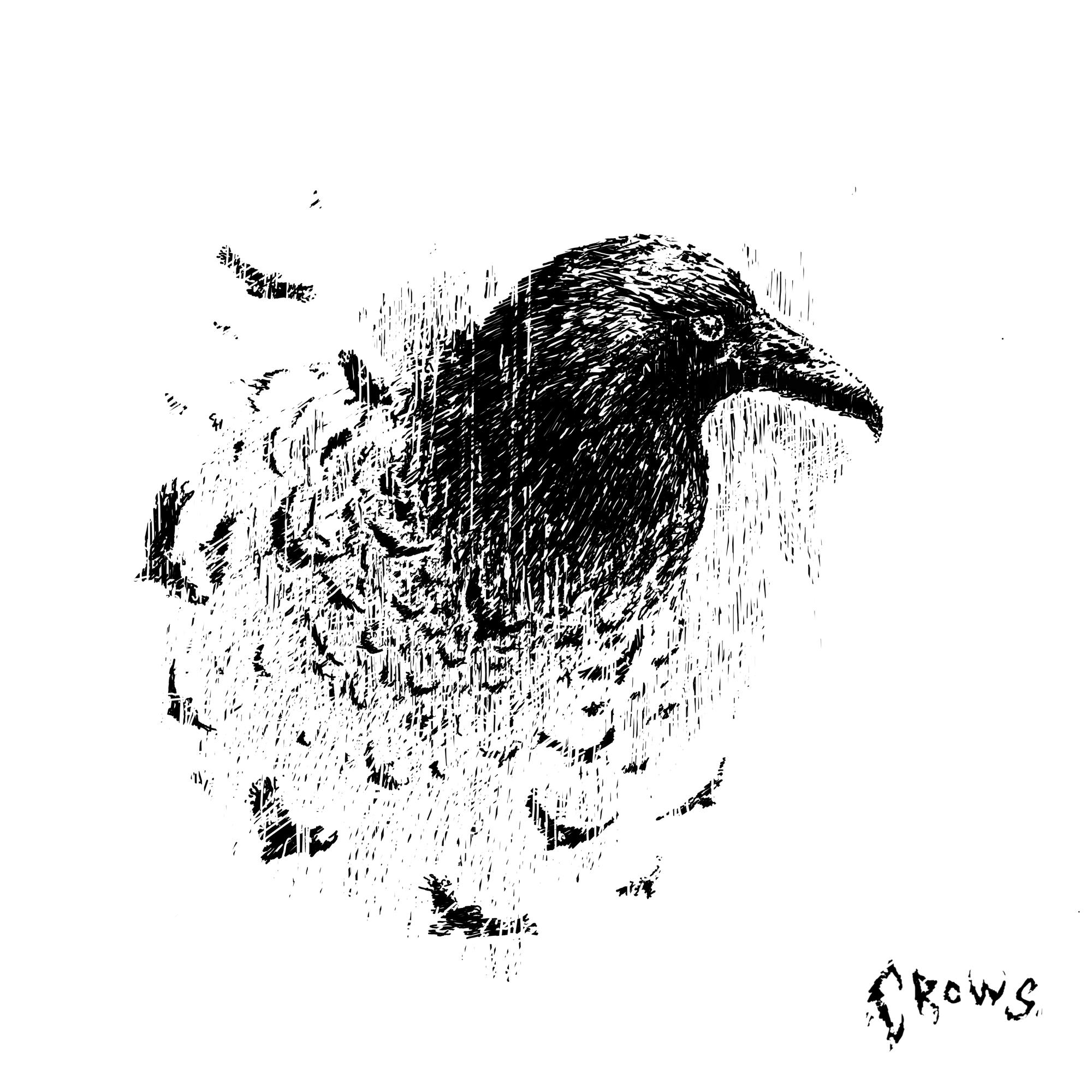 ハイパーポップ/エモ・サウンドで人気のrouri404が新EP『crows』を6月21日にリリースすることを発表のサブ画像3