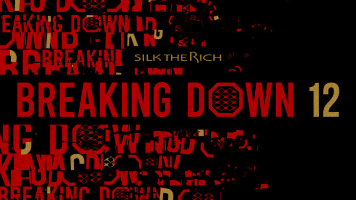 『SILK THE RICH presents BreakingDown 12』チケット販売が2024年5月5日（日）12:00にスタート！のメイン画像