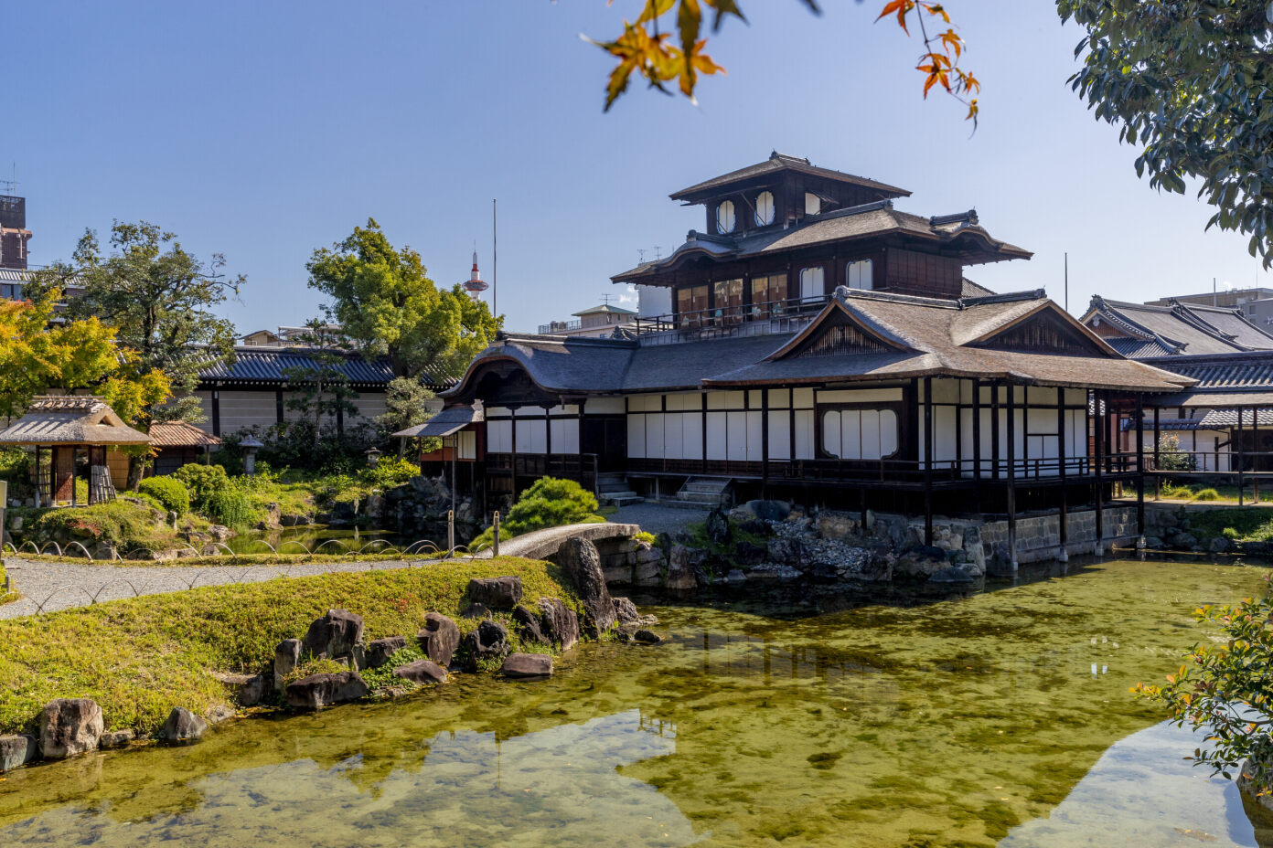 西本願寺「宗祖降誕会（しゅうそごうたんえ）」茶席及び祝賀能のご案内のサブ画像1