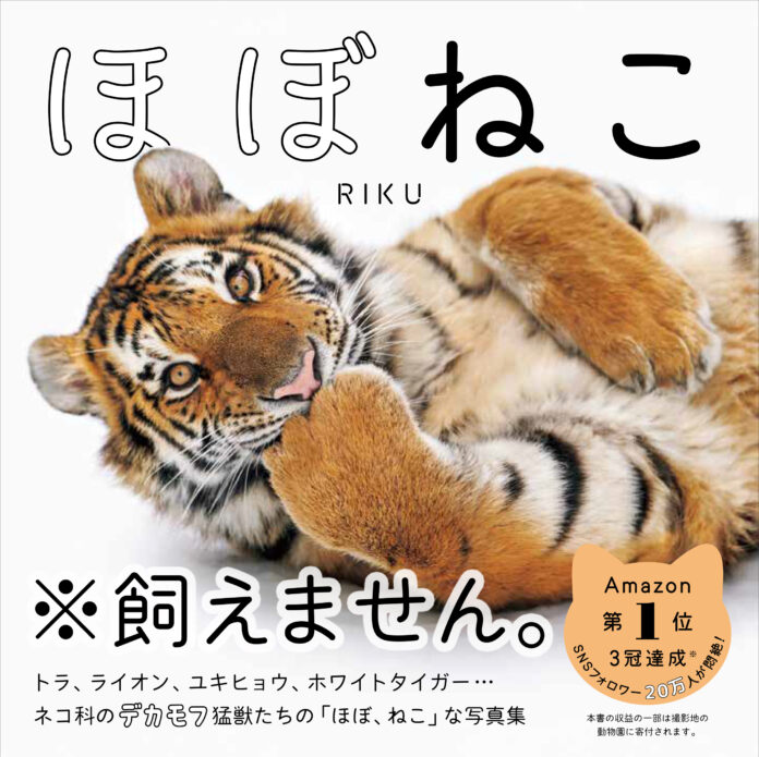 令和ロマン 松井ケムリさん悶絶「百獣の王達が可愛らしい」ネコ科猛獣の写真集『ほぼねこ』が発売5カ月で4度目の重版のメイン画像