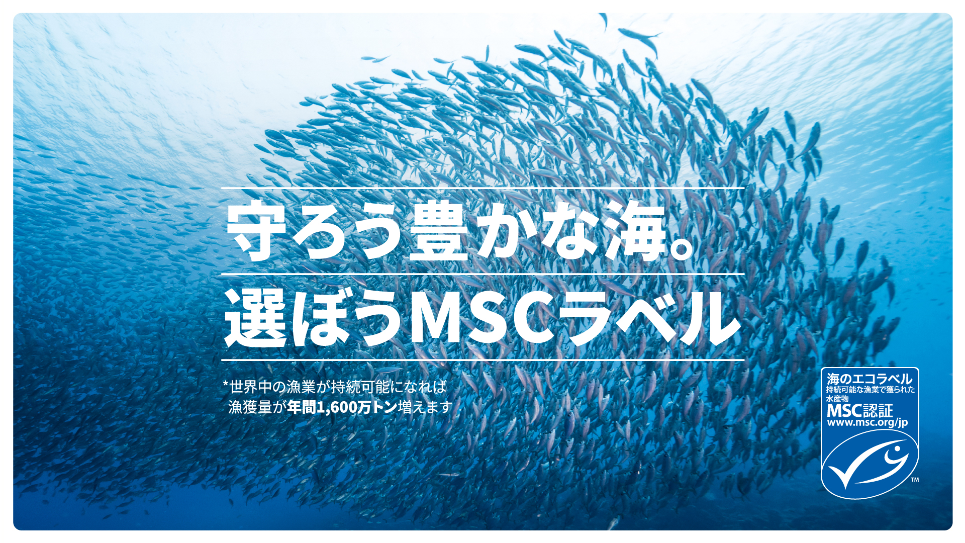 「守ろう豊かな海。選ぼうMSCラベル」キャンペーン　MSCアンバサダーココリコ・田中直樹が水産資源の危機について相方遠藤章造に語る動画を公開！のサブ画像1