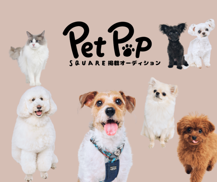 【大切なペットと雑誌に載れる夢のチャンス！】ペット&アーティストによる癒しマガジン雑誌「Pet Pop SQUARE」掲載オーディション開催決定！のメイン画像