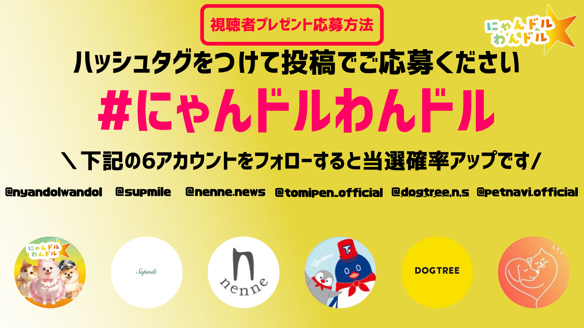 【大好評！“ペット”が主役の情報エンタメ番組】女優 谷花音さんパーソナリティ「にゃんドル☆わんドル produced by 8-P & PETNAVI」　7/5(金) 放送のサブ画像10