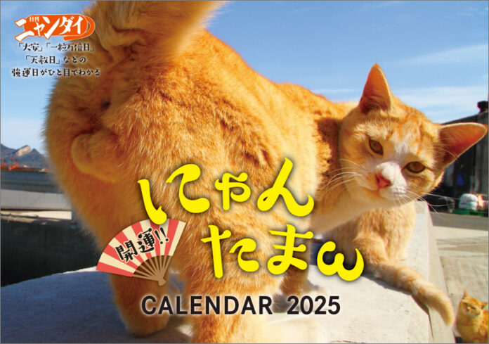 【発売決定！！】『開運!! にゃんたまωカレンダー2025』2025年版も大きな写真でにゃんたまを拝める壁掛け仕様で発売決定！ありがた～いにゃんたまを持ち運べるお守りカード特典も！のメイン画像