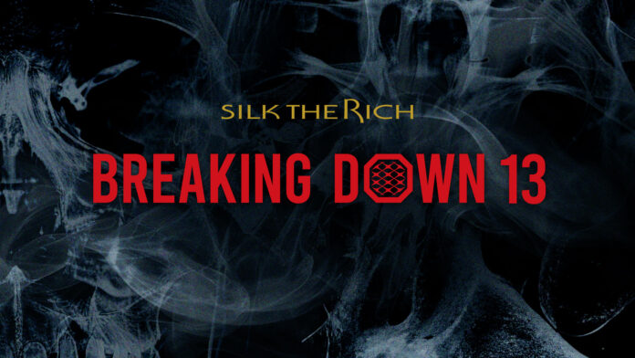 『SILK THE RICH presents BreakingDown13』チケット先行販売が2024年8月3日（土）19:00よりスタート〜2024年9月1日（日）アリーナ立川立飛にて開催〜のメイン画像