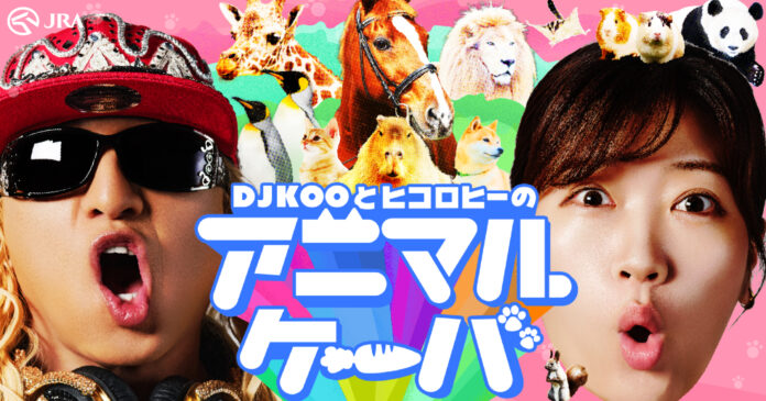 DJ KOOさんとヒコロヒーさんが共演！「ウマ最KOO!!!!」　動物知識を紹介するWEB動画「アニかわ図鑑」とDJ KOOさんの動物クイズにヒコロヒーさんが解答するWEB動画「アニマル学園」を公開！のメイン画像