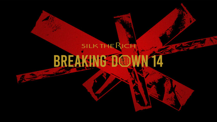 『SILK THE RICH presents BreakingDown14』チケットが本日より販売開始！ BD大運動会やオーディション動画の配信も続々スタートのメイン画像