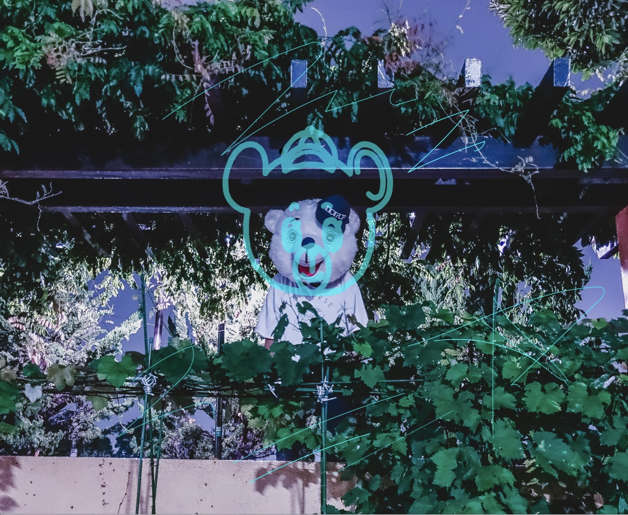 Idiot Pop、最新シングル「トウメイ」リリース&リリックビデオ公開！のサブ画像3