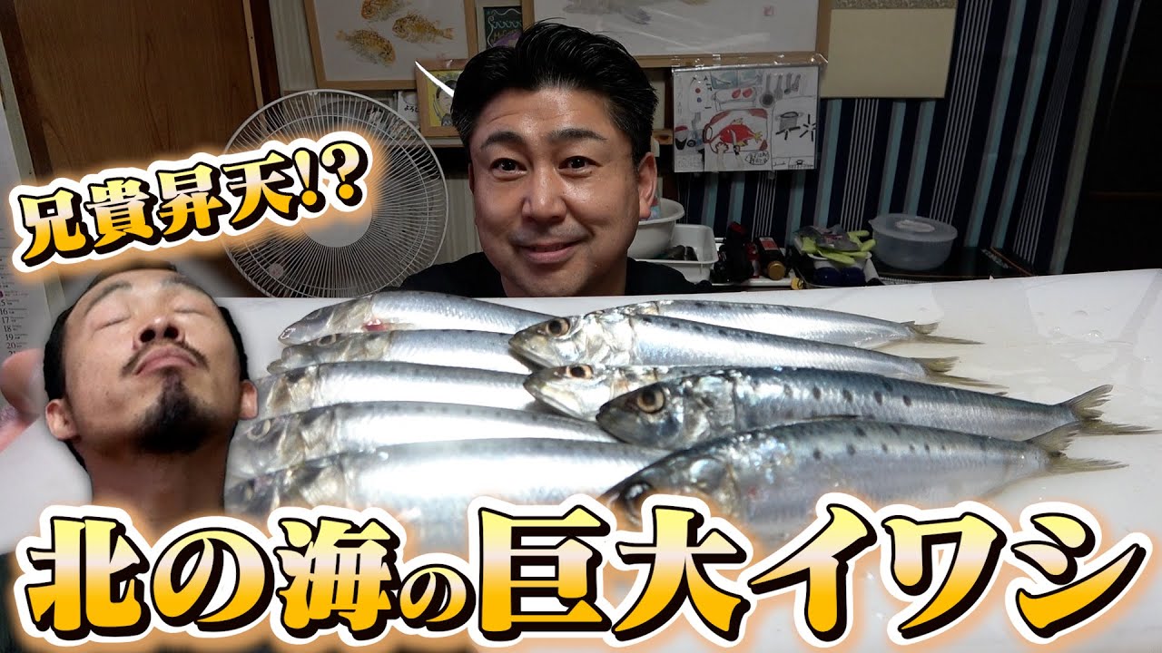 【YouTuber×魚】水産物消費量増加を目指してのサブ画像3