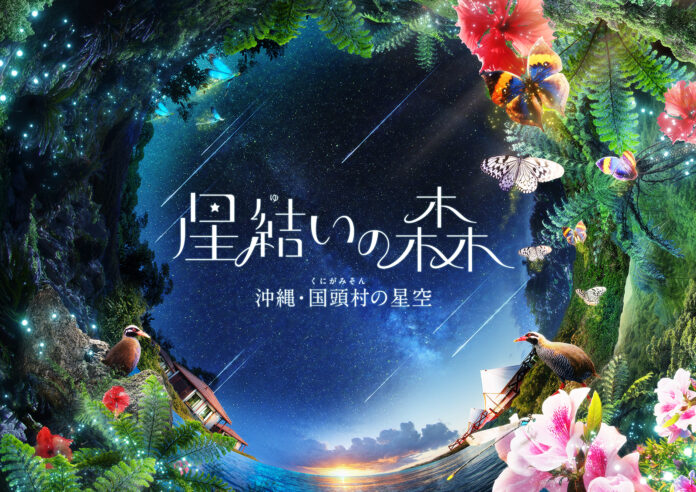 最新作『星結いの森 -沖縄・国頭村の星空-』コニカミノルタプラネタリウム全館で2025年2月28日(金)より上映決定！のメイン画像