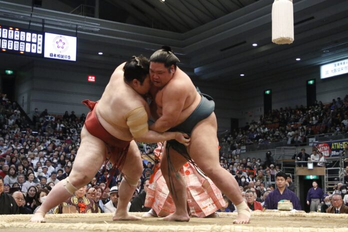 大相撲三月場所（エディオンアリーナ大阪）の「マスA席」観戦チケット付き宿泊プランを販売のメイン画像