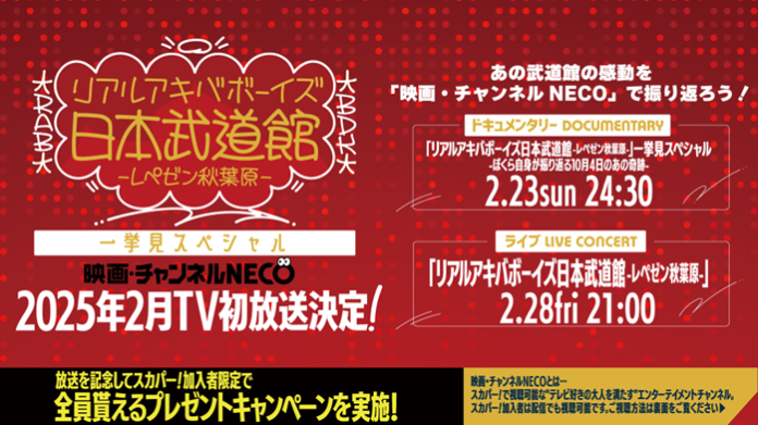 REAL AKIBA BOYZ特集TV初放送！CS放送「映画・チャンネルNECO」にて「リアルアキバボーイズ日本武道館 -レペゼン秋葉原-」一挙見スペシャルの放送を開始のメイン画像