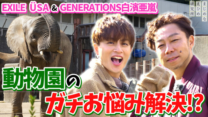 【まじめえひめプロジェクト】EXILE ÜSA、GENERATIONS・白濱亜嵐が愛媛県レジャー施設のお悩み解決に奔走！のメイン画像