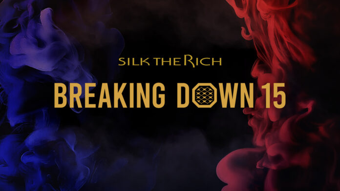 SILK THE RICH presents BreakingDown15のプラチナスポンサーに脱毛サロン「RBL」が就任！のメイン画像