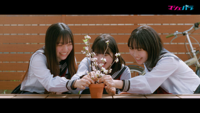 クルクル・加瀬百・椎葉紋加が出演する「サクライロの約束」のミュージックビデオを公開のメイン画像