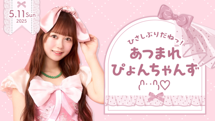 【明日4/11 18時 チケット受付開始】AKB48大盛真歩ファンクラブ会員限定イベント『ひさしぶりだねっ！あつまれぴょんちゃんず₍ᐢ‥ᐢ₎ ♡』開催決定！のメイン画像